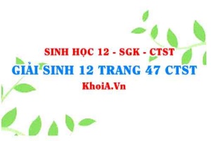 Giải Sinh 12 trang 47 Chân trời Sáng tạo